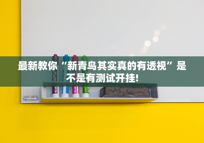 最新教你“新青鸟其实真的有透视”是不是有测试开挂!