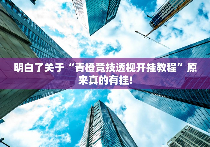 明白了关于“青橙竞技透视开挂教程”原来真的有挂!
