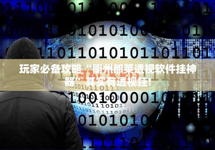 玩家必备攻略“衢州都莱透视软件挂神器”其实有透视挂!