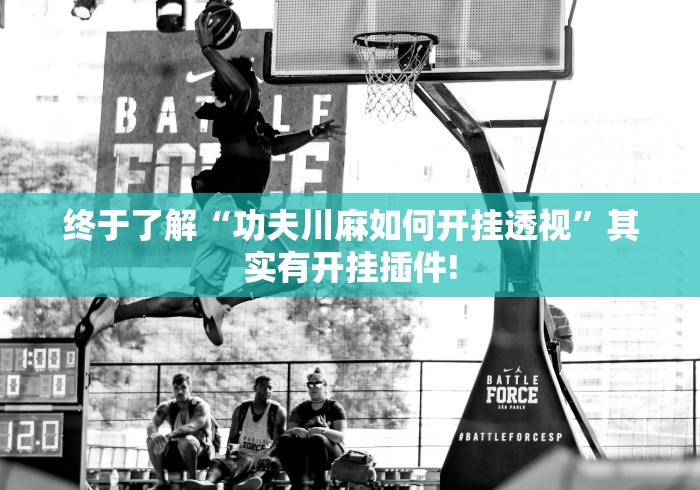 终于了解“功夫川麻如何开挂透视”其实有开挂插件! 终于了解“功夫川麻如何开挂透视”其实有开挂插件!