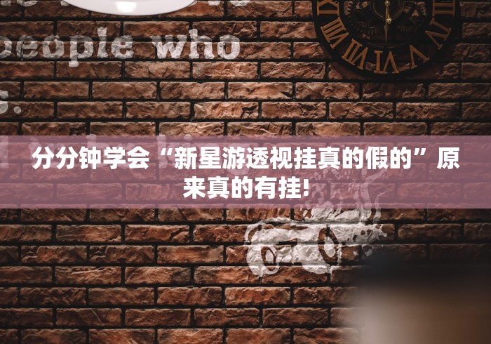 分分钟学会“新星游透视挂真的假的”原来真的有挂!