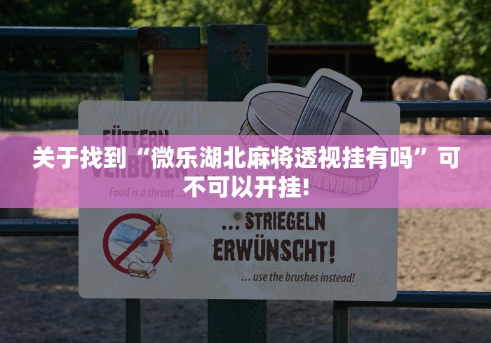 关于找到“微乐湖北麻将透视挂有吗”可不可以开挂! 关于找到“微乐湖北麻将透视挂有吗”可不可以开挂!