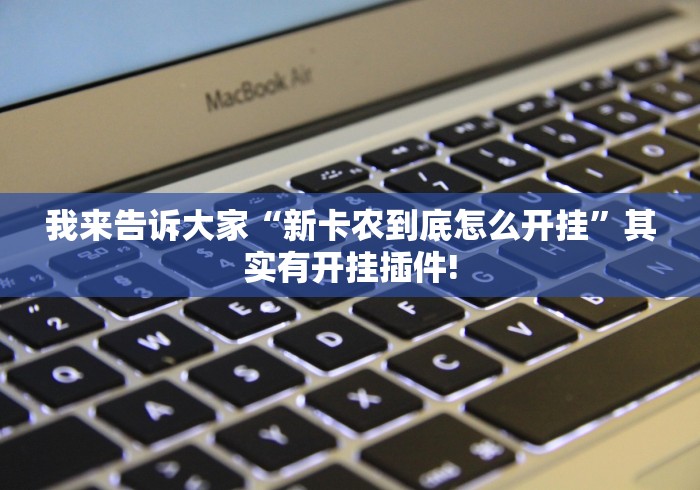 我来告诉大家“新卡农到底怎么开挂”其实有开挂插件!