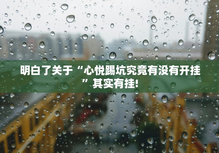 明白了关于“心悦踢坑究竟有没有开挂”其实有挂!