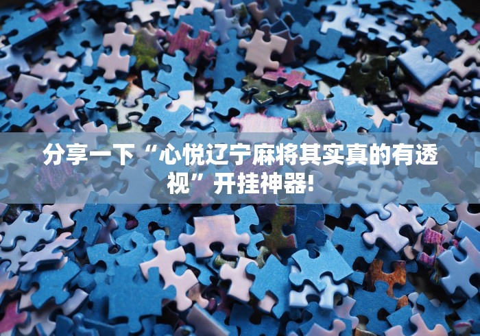 分享一下“心悦辽宁麻将其实真的有透视”开挂神器!