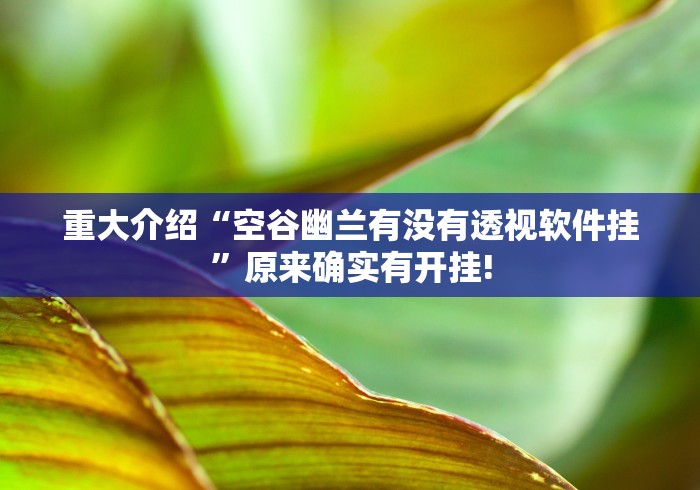 重大介绍“空谷幽兰有没有透视软件挂”原来确实有开挂!