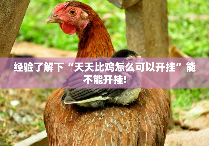 推荐一款“非凡贪玩究竟怎么开挂”原来有提高胜率!