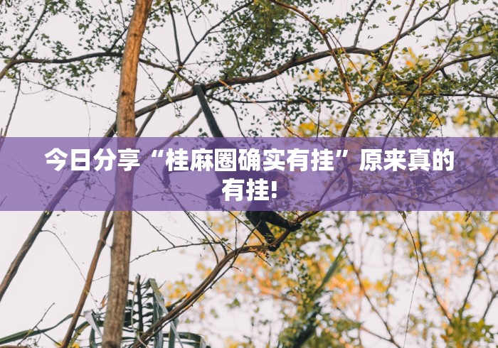 今日分享“桂麻圈确实有挂”原来真的有挂! 今日分享“桂麻圈确实有挂”原来真的有挂!