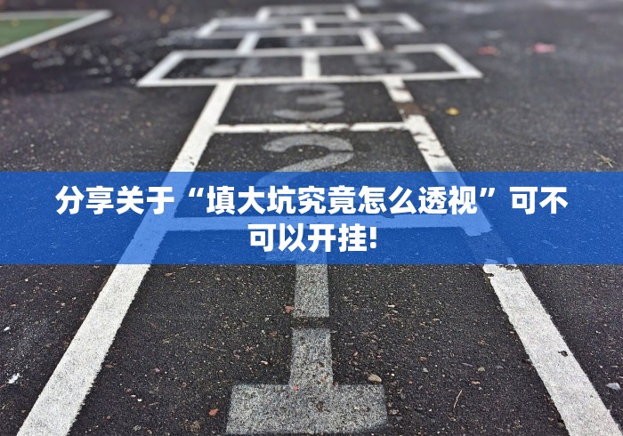 分享关于“填大坑究竟怎么透视”可不可以开挂!