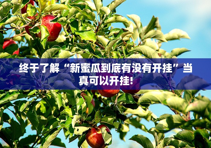 终于了解“新蜜瓜到底有没有开挂”当真可以开挂!