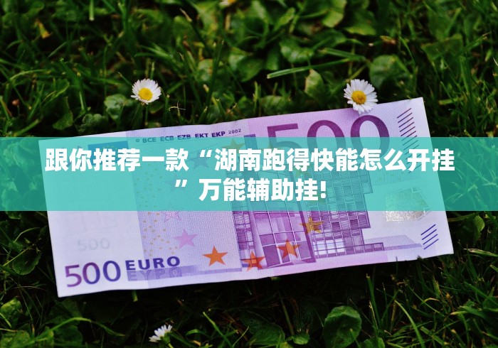 跟你推荐一款“湖南跑得快能怎么开挂”万能辅助挂!