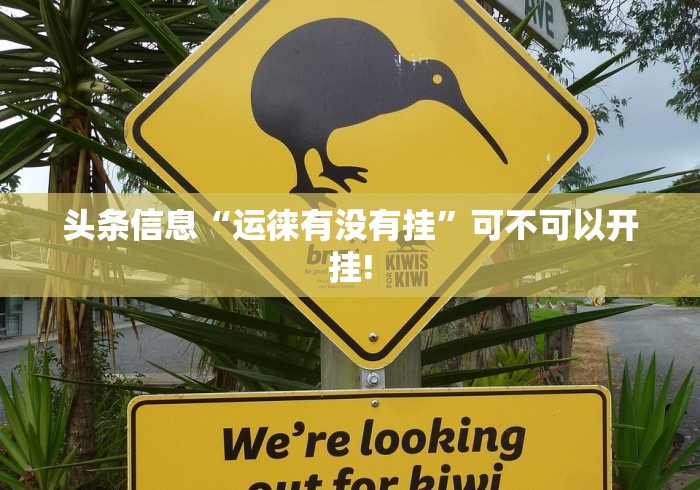 头条信息“运徕有没有挂”可不可以开挂!