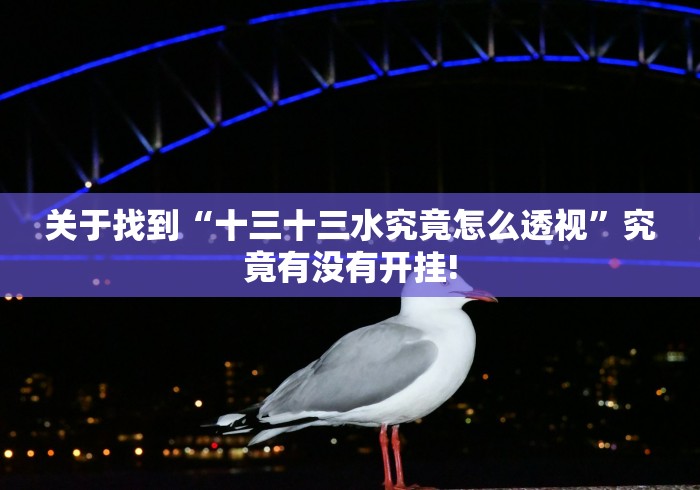 关于找到“十三十三水究竟怎么透视”究竟有没有开挂! 关于找到“十三十三水究竟怎么透视”究竟有没有开挂!