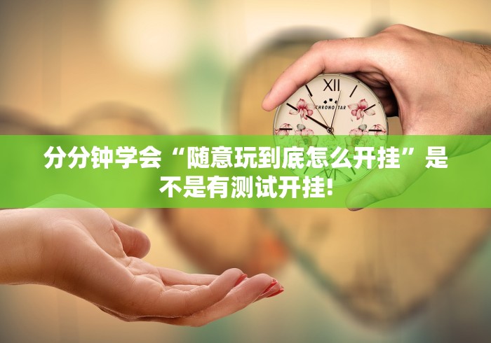 分分钟学会“随意玩到底怎么开挂”是不是有测试开挂!