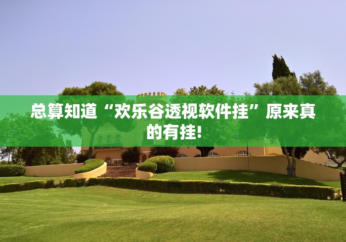 总算知道“欢乐谷透视软件挂”原来真的有挂!