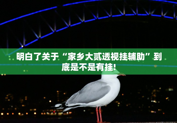 明白了关于“家乡大贰透视挂辅助”到底是不是有挂!