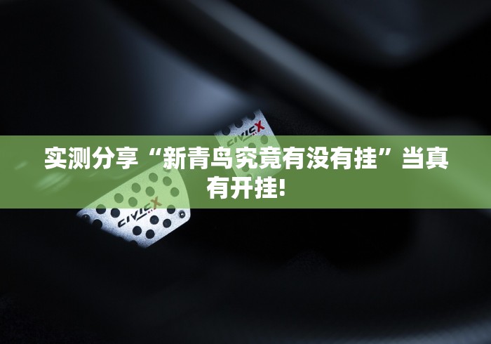 实测分享“新青鸟究竟有没有挂”当真有开挂!