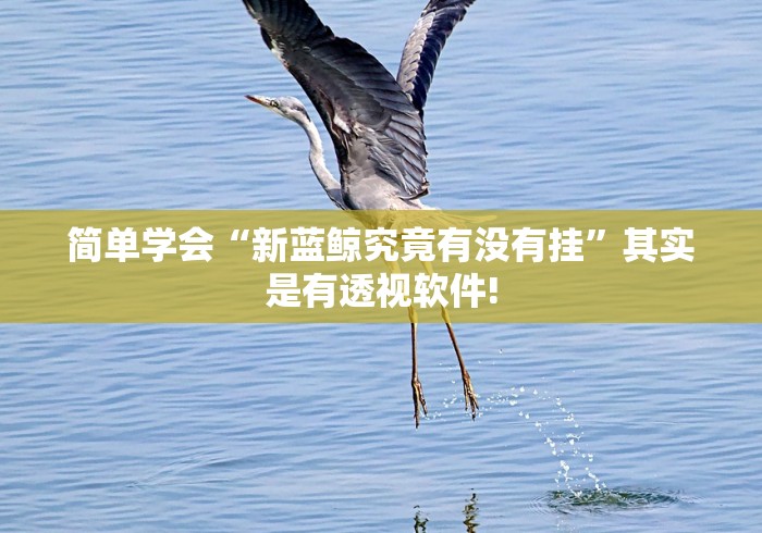 简单学会“新蓝鲸究竟有没有挂”其实是有透视软件! 简单学会“新蓝鲸究竟有没有挂”其实是有透视软件!