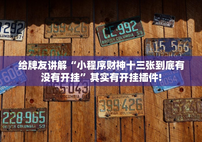 给牌友讲解“小程序财神十三张到底有没有开挂”其实有开挂插件!