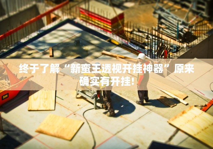 终于了解“新蛮王透视开挂神器”原来确实有开挂!