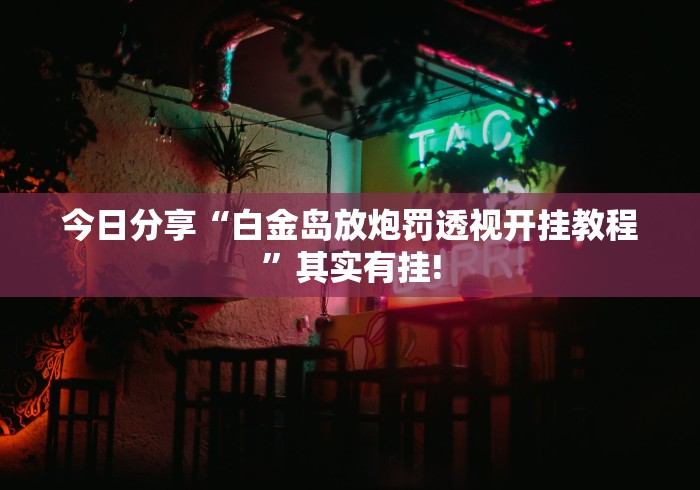 今日分享“白金岛放炮罚透视开挂教程”其实有挂!