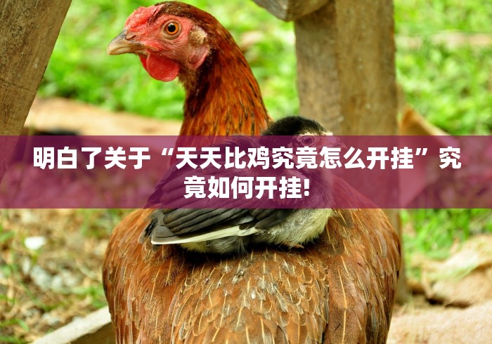 明白了关于“天天比鸡究竟怎么开挂”究竟如何开挂!