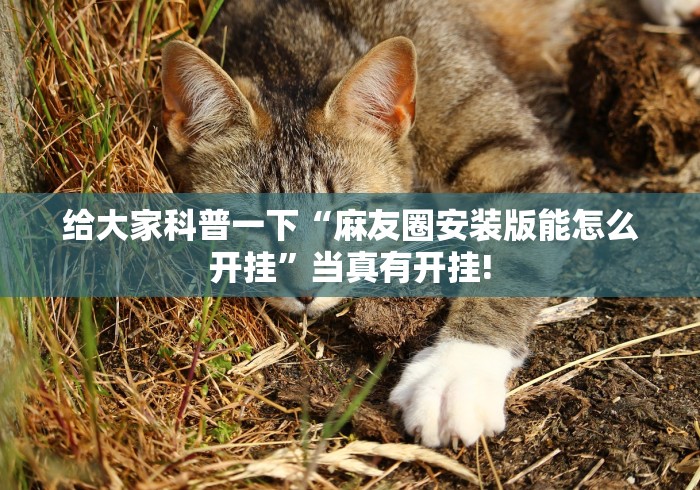 给大家科普一下“麻友圈安装版能怎么开挂”当真有开挂!