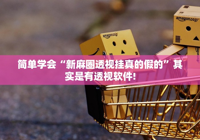 简单学会“新麻圈透视挂真的假的”其实是有透视软件!