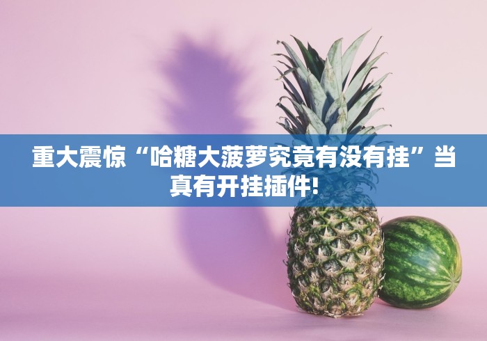 重大震惊“哈糖大菠萝究竟有没有挂”当真有开挂插件! 重大震惊“哈糖大菠萝究竟有没有挂”当真有开挂插件!