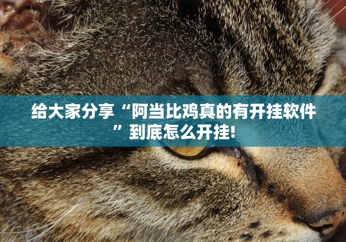 给大家分享“阿当比鸡真的有开挂软件”到底怎么开挂! 给大家分享“阿当比鸡真的有开挂软件”到底怎么开挂!