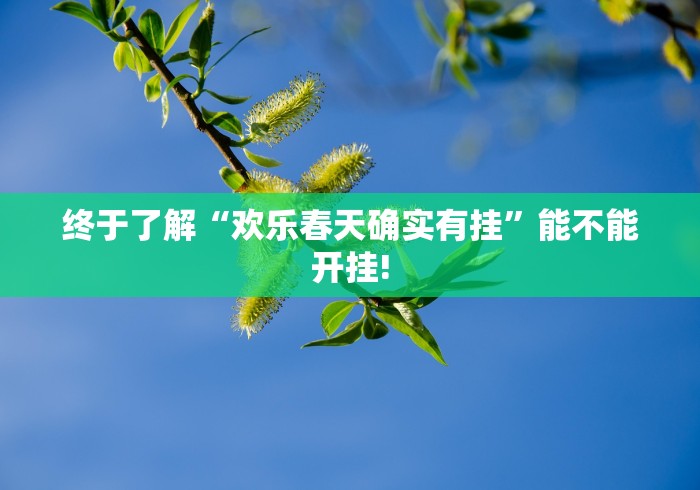 终于了解“欢乐春天确实有挂”能不能开挂!